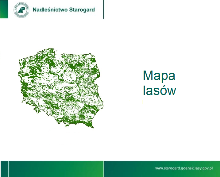 Mapa lasów