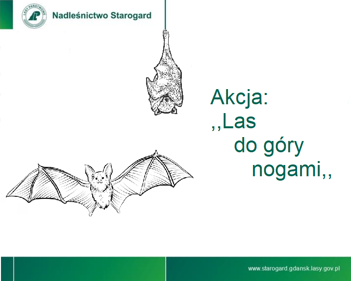 Akcja pn. ,,Las do góry nogami"