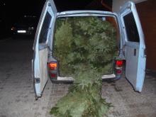 Ruszyła akcja "Stroisz 25"