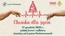 Choinka dla życia: podaruj krew, odbierz świąteczne drzewko
