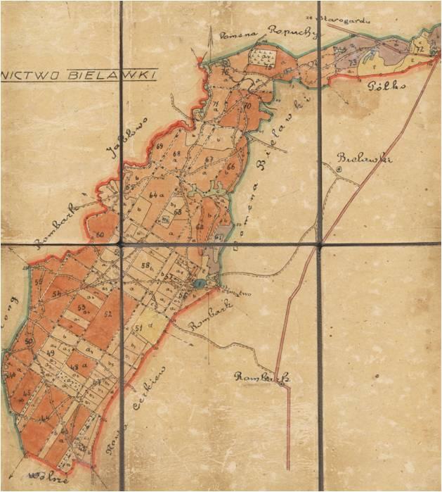 Mapa przeglądowa leśnictwa Bielawki z 1923 roku