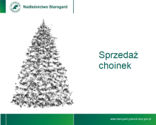 Sprzedaż choinek