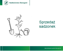 Sprzedaż sadzonek