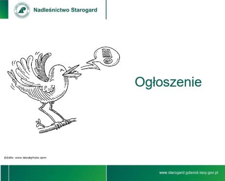 Ogłoszenie o naborze